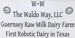 Grade A raw Guernsey cow milk